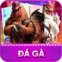 da ga h13