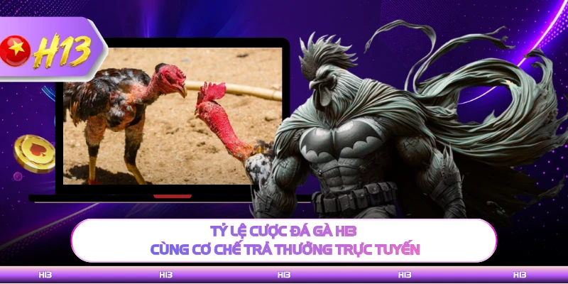 Tỷ lệ cược đá gà H13 cùng cơ chế trả thưởng trực tuyến